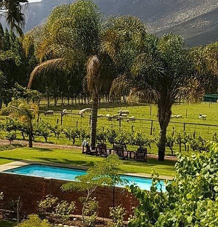 Long Acres Cottages Montagu Exteriör bild