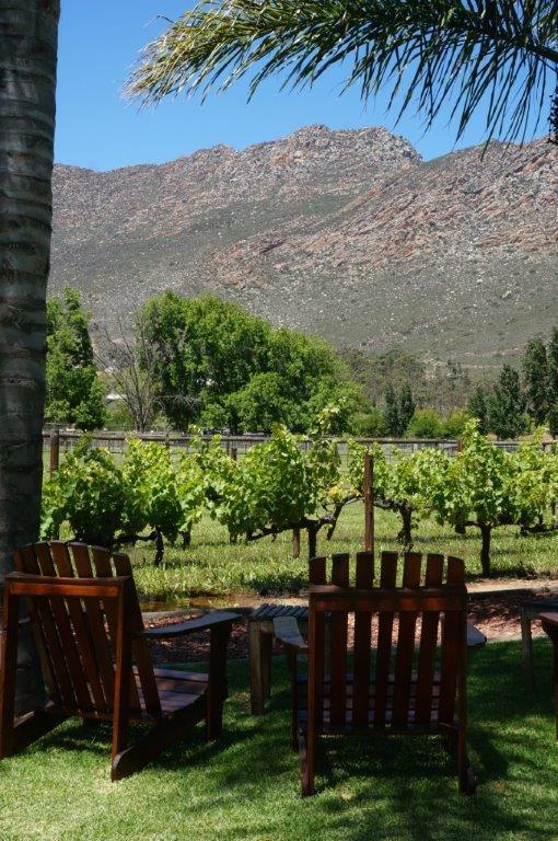 Long Acres Cottages Montagu Exteriör bild